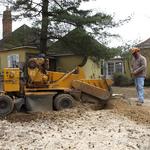 Grinding stumps in Kennett Square, PA